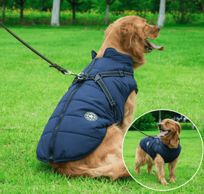 Roupa de Frio Para Cachorro | Colete Impermeável com Gola - Boompreçopet