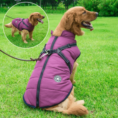 Roupa de Frio Para Cachorro | Colete Impermeável com Gola - Boompreçopet