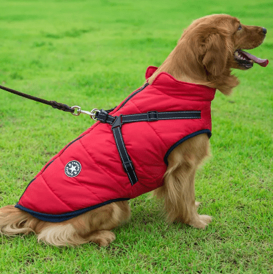 Roupa de Frio Para Cachorro | Colete Impermeável com Gola - Boompreçopet