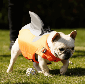 Colete Salva Vidas Para Cachorro | Tubarão - Boompreçopet