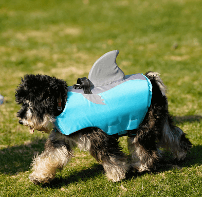 Colete Salva Vidas Para Cachorro | Tubarão - Boompreçopet