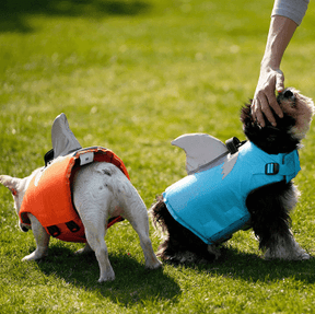 Colete Salva Vidas Para Cachorro | Tubarão - Boompreçopet