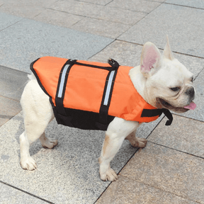 Colete Salva Vidas Para Cachorro | Faixas Refletivas - Boompreçopet