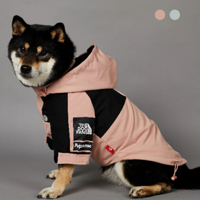 Roupa de Frio Para Cachorro | The Dog Fans | Com Capuz - Boompreçopet