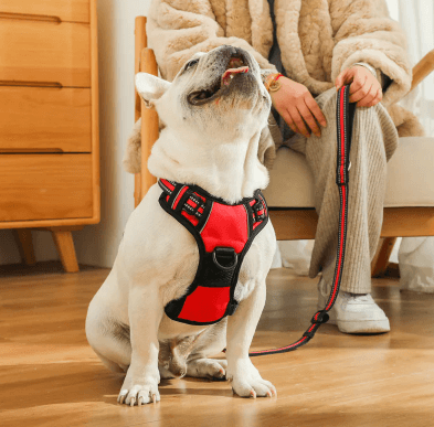 Peitoral Para Cachorro | Com Anti Puxão e Faixa Refletiva - Boompreçopet