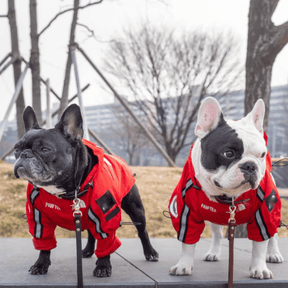 Roupa de Frio Para Cachorro | Casaco Impermeável e Refletivo - Boompreçopet