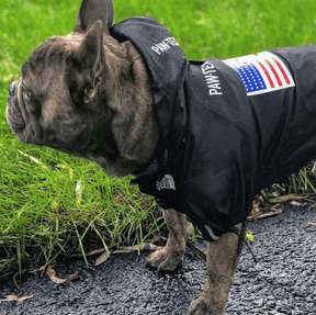 Roupa de Frio Para Cachorro | Casaco Impermeável e Refletivo - Boompreçopet