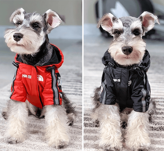 Roupa de Frio Para Cachorro | Casaco Impermeável e Refletivo - Boompreçopet