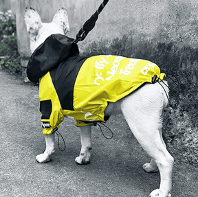 Roupa de Frio Para Cachorro | Casaco Impermeável e Refletivo - Boompreçopet