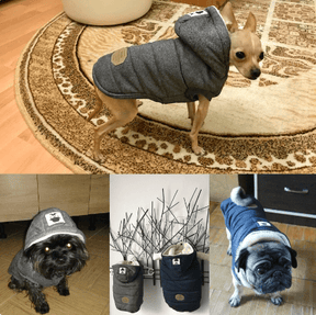 Roupa De Frio Para Cachorro | Aveludada | Com Capuz - Boompreçopet