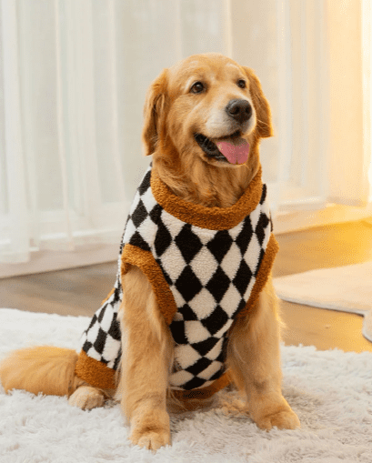 Roupa de Frio Para Cachorro | Casaco de Lã Quente - Boompreçopet