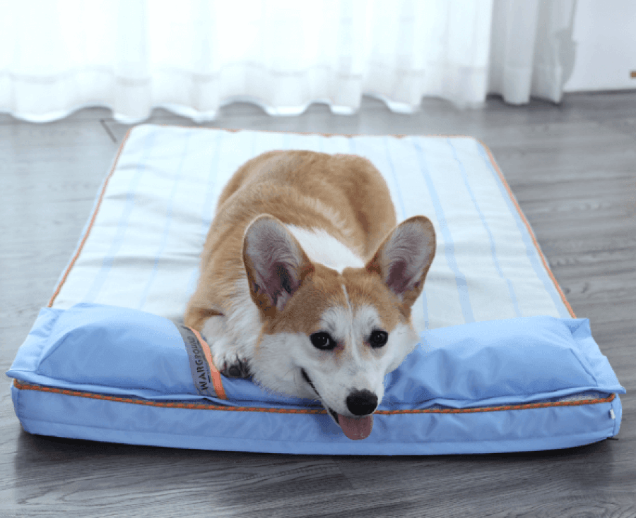 Cama Para Cachorro | Com Travesseiro - Boompreçopet