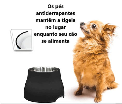 Comedouro Para Cachorro | Alto