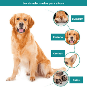 Máquina para Tosa de Cachorro - Branca - Boompreçopet